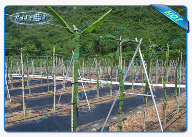Tela/esteira UV do controle de ervas daninhas do jardim do polipropileno de Enviro anti para a tampa não tecida de LandscapeAgriculture