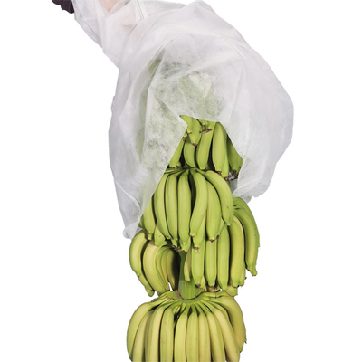 Tampa não tecida girada respirável do grupo da banana da ligação na cor branca