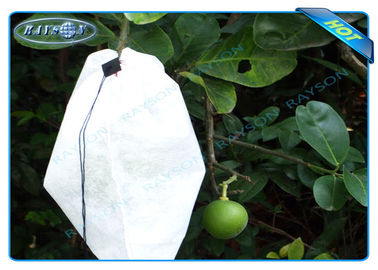 A planta não tecida de Agiculture cresce sacos para o crescimento do fruto e a proteção, batata cresce sacos
