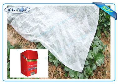 Controle de ervas daninhas Degradable Mat Made da tampa não tecida Anti-UV preta ou branca da agricultura