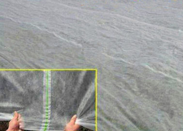A estufa PP filma a tela não tecida da paisagem de Spunbond com polipropileno 100%