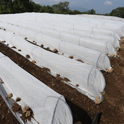 Tela não tecida larga dos PP Spunbond do acréscimo biodegradável da agricultura para o inverno