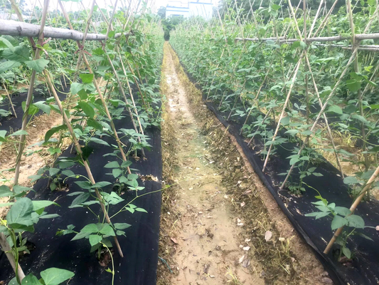 tampa não tecida Spunbond da agricultura de 30gram 100% PP no controle de ervas daninhas de 20 medidores