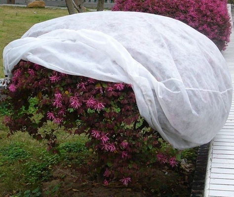 A tampa não tecida dos Pp Spunbond do velo da proteção de Frost do jardim personalizou