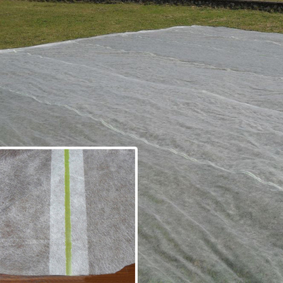 proteção vegetal do gelo da agro folha da tela de tecelagem não de 200gsm Spunbond para a tampa exterior da planta