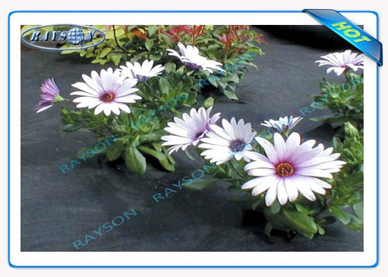 A proteção UV de 3% 10 anos garante a tampa não tecida agrícola Spunbond na cor preta