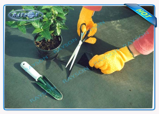 A proteção UV de 3% 10 anos garante a tampa não tecida agrícola Spunbond na cor preta