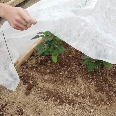 Anti tampa agrícola não tecida uv da colheita dos PP Spunbond para a proteção de tempo frio