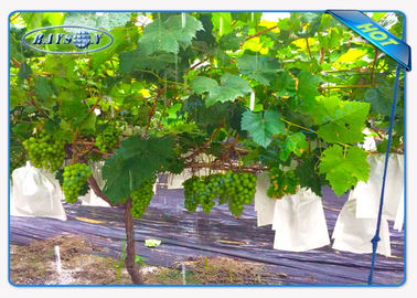 Tela não tecida da paisagem dos sacos do fruto do filme da palha de canteiro da coberta da planta com anti UV