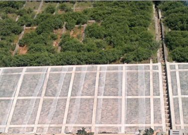 Tela não tecida transparente da paisagem de Spunbond para a tampa da planta da agricultura