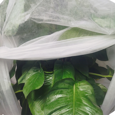 O polipropileno Spunbond Frost cobre a tela de flutuação não tecida agrícola da tampa da fileira