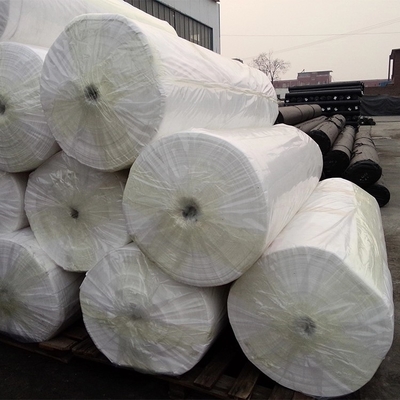 Polipropileno 100% agrícola resistente da tela não tecida de Spunbond